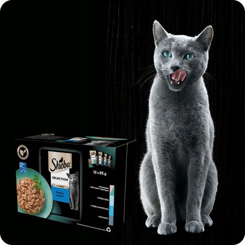 SASZETKI SHEBA SELECTION RYBNE SMAKI 12X85G MOKRA KARMA W SOSIE na Arena.pl