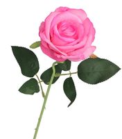 product-compare-60946477