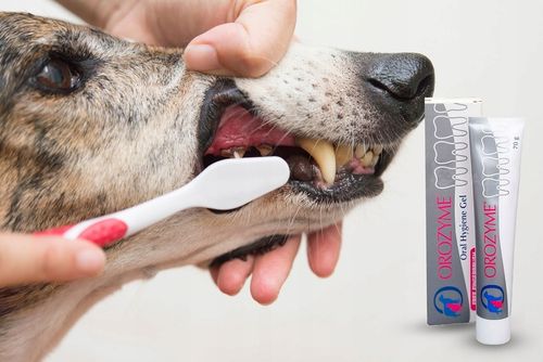 Orozyme gel 70g na Arena.pl