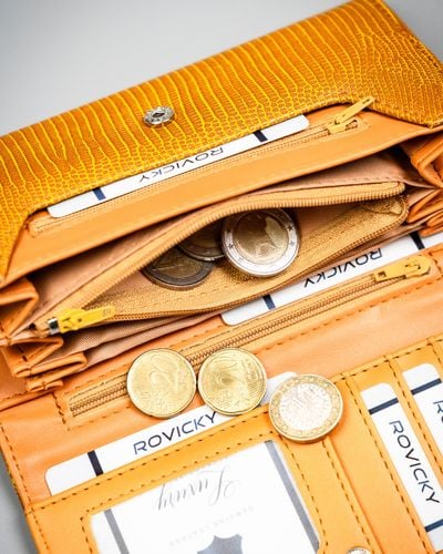 portfel damski pu a-pal1a-bl-camel na Arena.pl