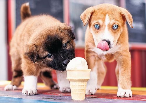 Trefl 500 Elementów Pora na lody na Arena.pl