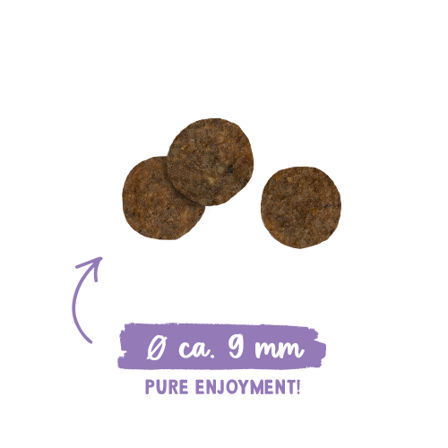 bosch sanabelle sterilized 8kg na Arena.pl