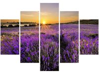 105CM 150CM OBRAZ 5 ELEM POLE LAWENDY DRUK