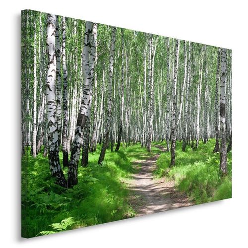 Obraz na płótnie - Canvas, Brzozowy las 2 80x60 na Arena.pl
