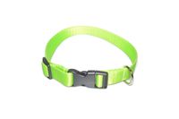 A-005 OBROŻA DLA PSA TAŚMA 25mm/34-55cm Kolor - Seledynowy