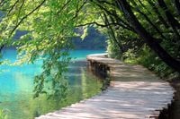 FOTOTAPETY na wymiar Widok most Drzewo Jezioro