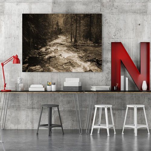 Obraz na płótnie - Canvas, Bajkowy las 1 60x40 na Arena.pl
