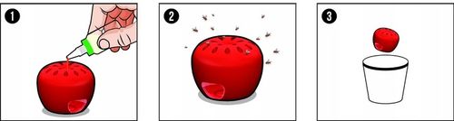 PUŁAPKA NA MUSZKI OWOCÓWKI Z WABIKIEM FRUIT FLY TRAP NO PEST NATURALNA na Arena.pl