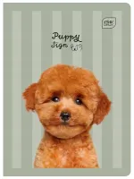 Zeszyt W Trzy Linie A5 Interdruk 32 Kartek