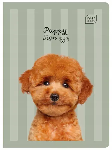 Zeszyt W Trzy Linie A5 Interdruk 32 Kartek na Arena.pl