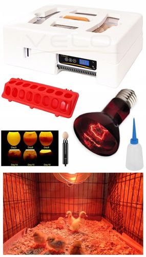 INKUBATOR AUTOMATYCZNY VELO na 35 JAJ do KURZYCH INDYCZYCH GĘSICH KACZYCH na Arena.pl