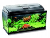 AQUAEL ZESTAW AKWARIOWY CLASSIC BOX 60/P D&N