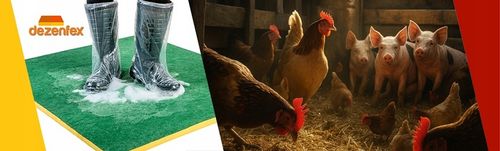 MATA DEZYNFEKCYJNA 120x100x3CM EKO_PLUS + GRATIS! na Arena.pl