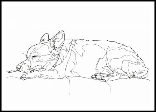 Plakat 100x70cm Śpiący Psiak na Arena.pl