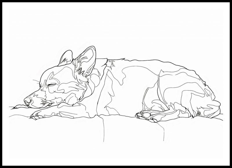 Plakat 100x70cm Śpiący Psiak zdjęcie 3