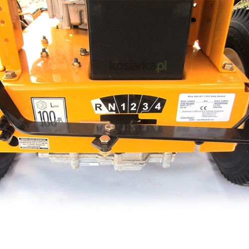 Cub Cadet Wide Cut E-Start na Arena.pl