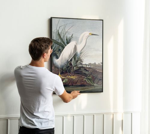 Plakat biały ptak mokradła bagna 61x91 cm w czarnej ramie na Arena.pl