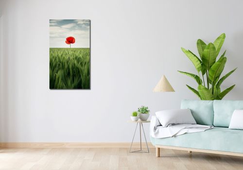 Obraz 50x90cm Samotny Mak na Polu na Arena.pl