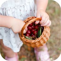 Treol 770 EC OLEJ PARAFINOWY 100ml + Mospilan 20 SP 10g DO WARZYW OWOCÓW