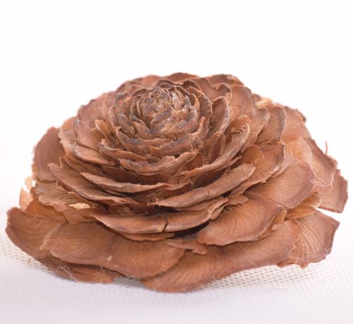 Róża cedrowa naturalna x2 na Arena.pl