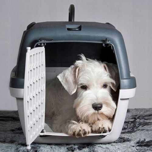 TRANSPORTER GULLIVER 3 DLA PSA KOT KRÓLIK 61X40X38 DUŻY i SOLIDNY na Arena.pl