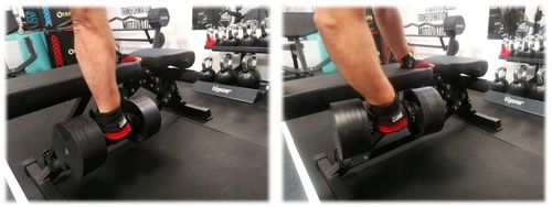 HANTEL REGULOWANY 2-20kg CIĘŻAREK SZTANGA GRYF HANTLA REGULACJĄ OBCIĄŻENIA na Arena.pl