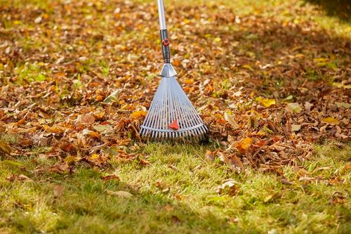 grabie wachlarzowe regulowane gs - hg-03103-20 na Arena.pl