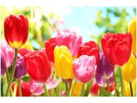 product-compare-58693840