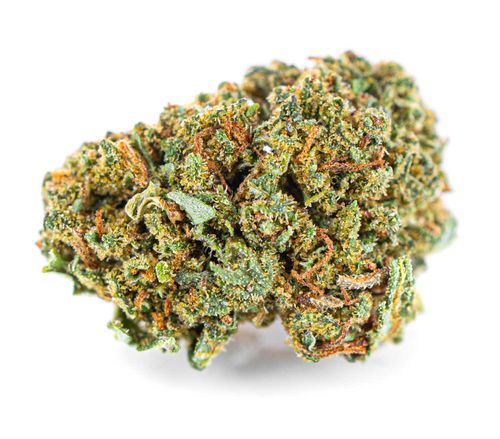 Susz konopny CBD | WHITE WIDOW | 100 g na Arena.pl