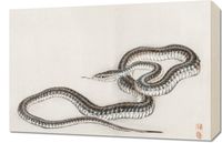 Obraz 60x40cm Snake, Kōno Bairei