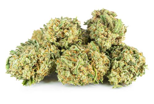 Susz konopny White Widow CBD Exclusive Weed 5g na Arena.pl