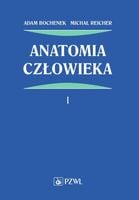 Anatomia człowieka Tom 1 Adam Bochenek