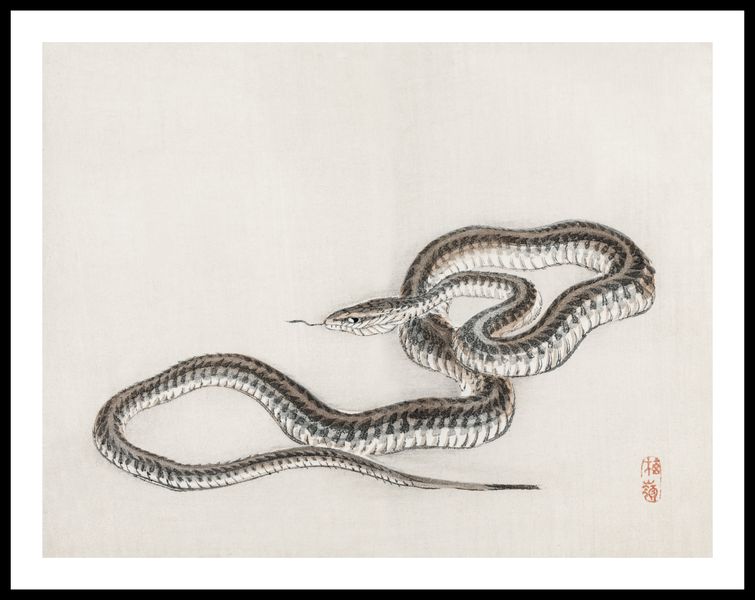 Plakat 65x50cm Snake, Kōno Bairei zdjęcie 3