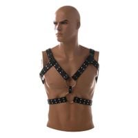 chest harness