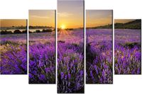 100CM 150CM OBRAZ 5 ELEM POLE LAWENDY ŚCIENNY