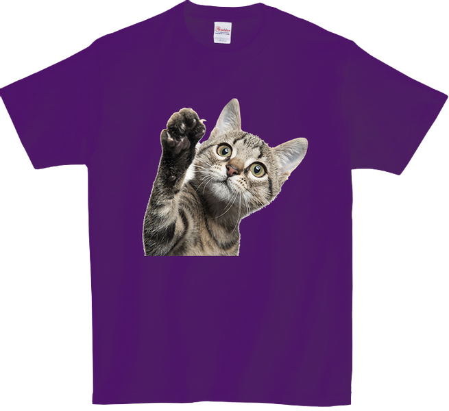 Koszulka T-shirt Kot zdjęcie 1