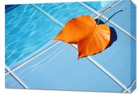 Obraz 70x50cm Liść przy Wodzie