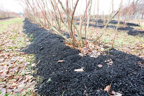 Ściółka z węgla brunatnego CARBOMAT ECO 20 L (pH 4,5 - 5,0) na Arena.pl