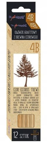 OŁÓWEK CEDRLOVE MAJEWSKI 4B na Arena.pl