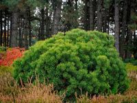 product-compare-57884920