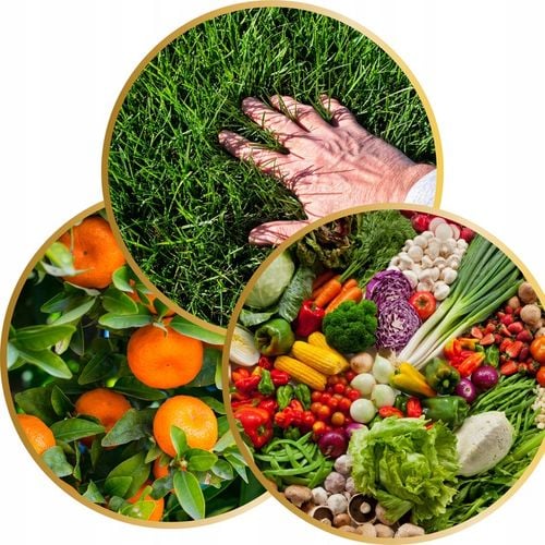 Wapno Ogrodowe Nawozowe Do Trawników Warzyw Owoców Dolomit Granulowane na Arena.pl