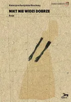 Nikt nie widzi dobrze. Eseje