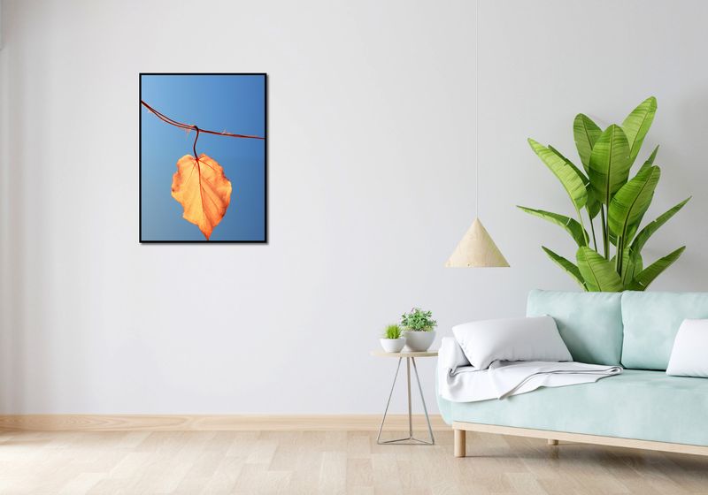 Plakat 60x80cm Ostatni Liść zdjęcie 4