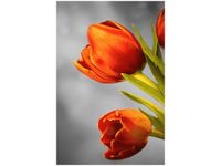 40X60CM CZEROWNE TULIPANY OBRAZ