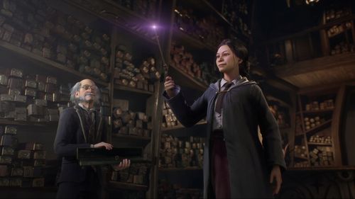 Hogwarts Legacy Dziedzictwo Hogwartu | PEŁNA WERSJA | STEAM | Wysyłka 24/7 na Arena.pl