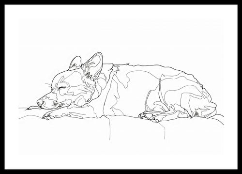 Plakat 45x30cm Śpiący Psiak na Arena.pl