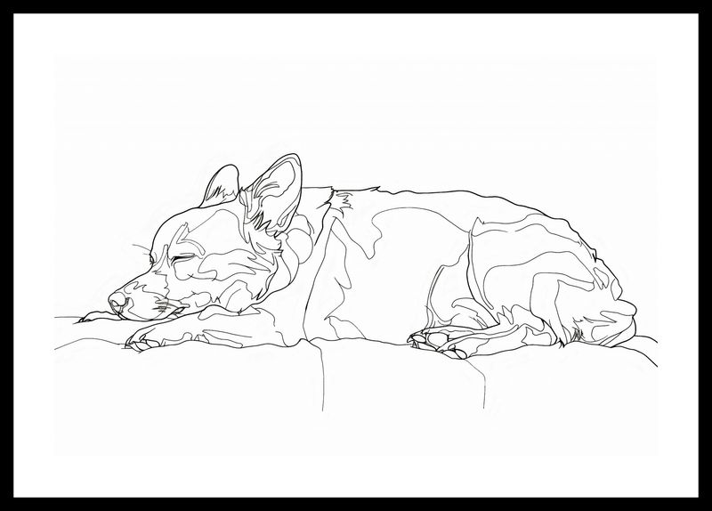 Plakat 45x30cm Śpiący Psiak zdjęcie 3