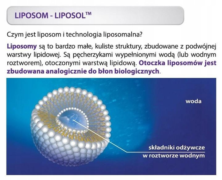 Aliness LIPOSOL LIPOSOMALNA WITAMINA C NA ODORNOŚĆ BUFOROWANA 1000mg 40sasz zdjęcie 4