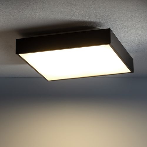 Plafon QUAD SENSOR na Arena.pl