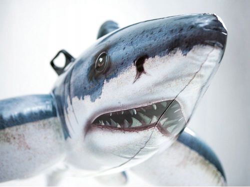 Rekin dmuchany materac dla dzieci Intex 173cm na Arena.pl